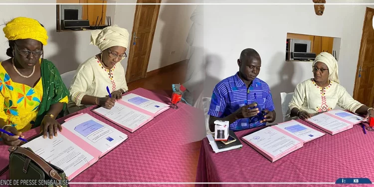 Agropole Sud : le BMN injecte 210 millions FCFA pour booster la compétitivité des entreprises agricoles de Ziguinchor