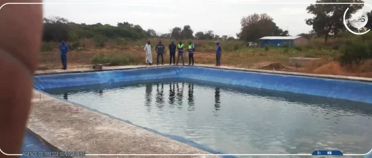 Kolda : un grand centre aquacole de 4 hectares annoncé pour 2026 afin de booster l’emploi et la souveraineté alimentaire