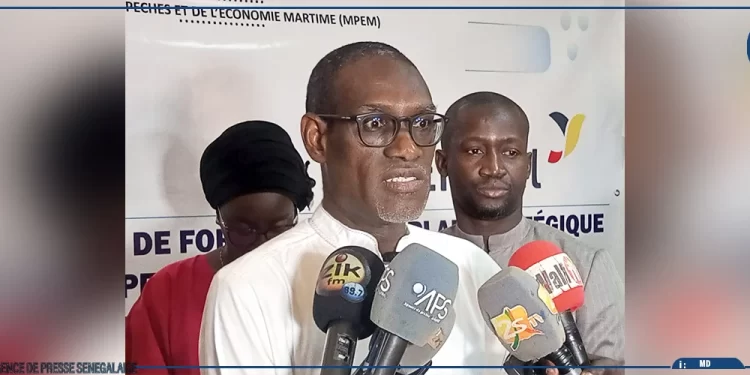 Aquaculture : le Sénégal enregistre une forte progression de sa production et prépare sa stratégie 2026-2030