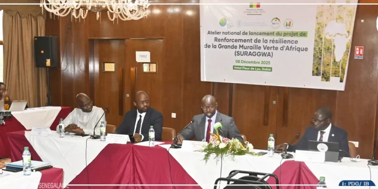 Sénégal : un ambitieux programme régional pour restaurer 80 000 hectares de terres dégradées