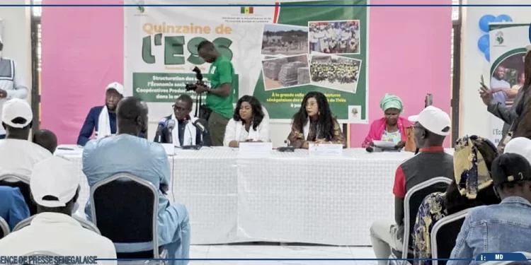 Thiès : 134 jeunes formés au pavage intègrent le marché grâce au Programme national des Coopératives productives solidaires
