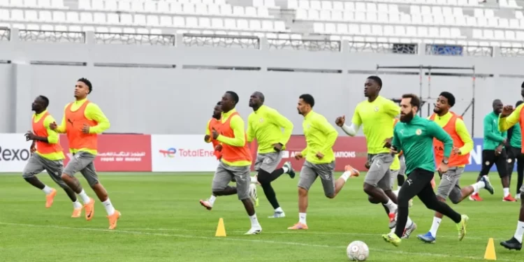 CAN 2025 : une meilleure performance des Lions qu’en 2019 et 2021