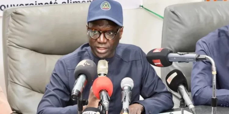 Riziculture: Lancement officiel de la campagne de saison sèche chaude 2026 dans la vallée du fleuve Sénégal