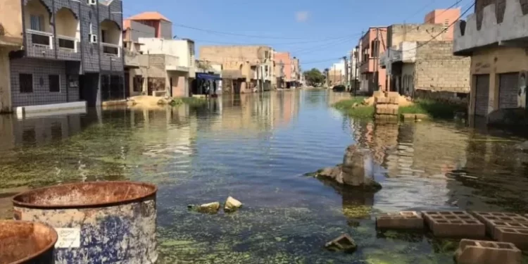 Projet d’assainissement autonome de Dakar: Les travaux exécutés à 56 % à Keur Massar