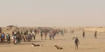 Algérie-Niger : 34 000 migrants expulsés en 2025, un record selon une ONG nigérienne