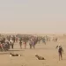 Algérie-Niger : 34 000 migrants expulsés en 2025, un record selon une ONG nigérienne