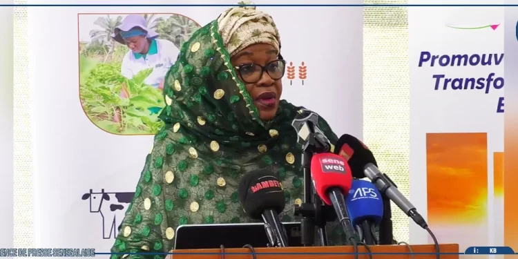 Insertion et entrepreneuriat : la DER/FJ veut faire des daaras des pôles d’opportunités économiques