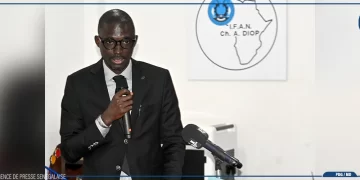 Archives audiovisuelles : Mohamed Lat Sack Diop alerte sur un enjeu crucial pour la mémoire et la gouvernance du Sénégal