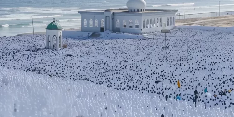 Incarnation du Mahdi: Le sens profond de l’Appel