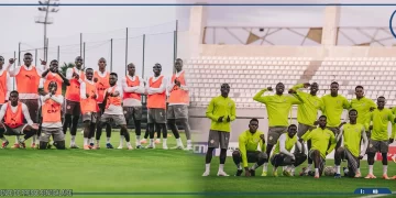 CAN 2025 : cinq des 28 joueurs n’ont pas encore été utilisés par Pape Thiaw