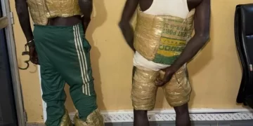 Produits prohibés : coup de filet des Douanes entre Kaolack, Fatick et Kédougou