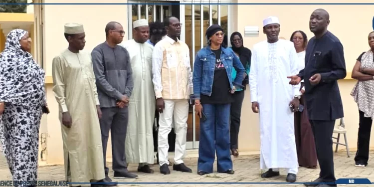 Recherche agronomique : un institut tchadien veut s’inspirer de l’expérience de l’ISRA