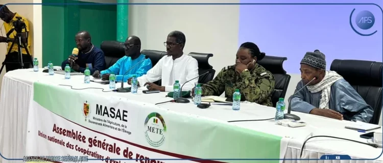 [ Vidéo] Gouvernance forestière au Sénégal : l’État appelle à plus de rigueur pour moderniser le secteur