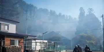 Nord du Japon : un important feu de forêt maîtrisé après 11 jours