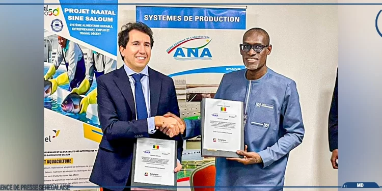 Aquaculture : un financement de 327 millions de francs CFA pour les régions de Fatick, Kaffrine et Kaolack