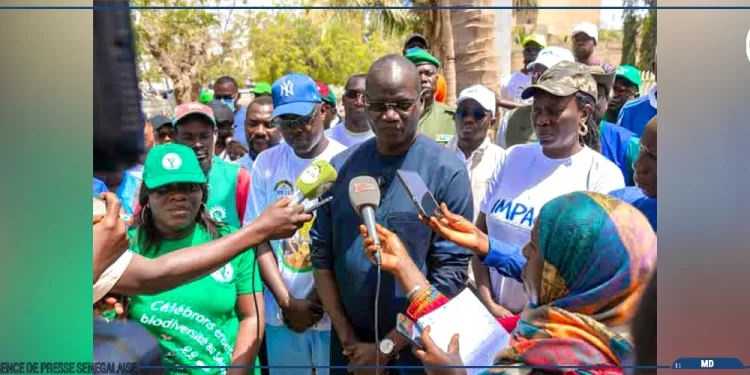Abdourahmane Diouf annonce un programme d’embellissement et de reverdissement du territoire national
