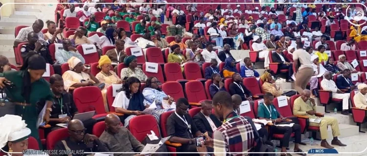 Daouda Ngom plaide pour un renforcement de l’intégration académique africaine