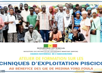 Kolda : 65 acteurs de GIE formés aux techniques aquacoles à Médina Yéro Foulah