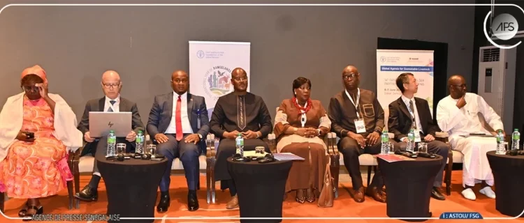 Déclaration de Dakar : Cheikh Oumar Ba plaide pour une alliance régionale en faveur d’un élevage durable et résilient.