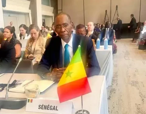 Francophonie : Cheikh Niang participe à une session ministérielle historique à Paris