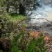 Feux de forêt : l&rsquo;Indonésie va déployer des centaines de soldats pour lutter contre les incendies à Bornéo