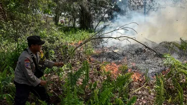 Feux de forêt : l’Indonésie va déployer des centaines de soldats pour lutter contre les incendies à Bornéo