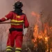 Vaste feu de forêt dans l’ouest du Canada : 20.000 personnes évacuées, l’état d’urgence déclaré