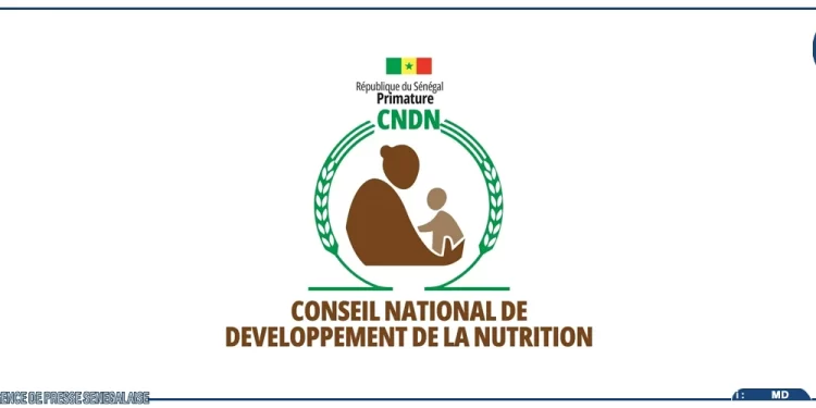 Ville sainte de Tivaouane : Le CNDN lance une assistance alimentaire d’urgence pour 1500 enfants talibés*