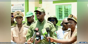 Xëyu Ndaw Yi : Aliou Gori Diouf mise sur l’entrepreneuriat agricole pour autonomiser les jeunes