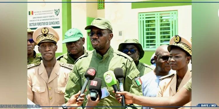Xëyu Ndaw Yi : Aliou Gori Diouf mise sur l’entrepreneuriat agricole pour autonomiser les jeunes