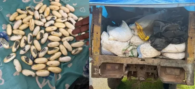 Kédougou : de la cocaïne et du cyanure saisis par les Douanes