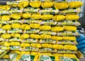 Saint-Louis : Cheikhou Oumar Bâ mise sur le delta pour gagner la bataille de la souveraineté alimentaire