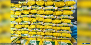 Saint-Louis : Cheikhou Oumar Bâ mise sur le delta pour gagner la bataille de la souveraineté alimentaire