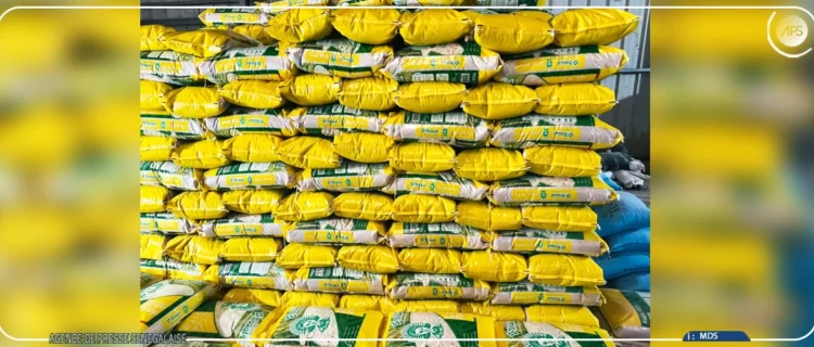 Saint-Louis : Cheikhou Oumar Bâ mise sur le delta pour gagner la bataille de la souveraineté alimentaire