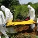 Ebola : plus de 4 000 morts dans la pire flambée en RDC