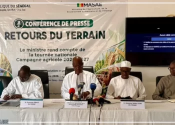 Campagne agricole 2026-2027 : Cheikhou Oumar Bâ dresse un bilan « relativement satisfaisant »
