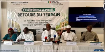 Campagne agricole 2026-2027 : Cheikhou Oumar Bâ dresse un bilan « relativement satisfaisant »