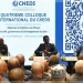 4e Colloque du CHEDS à Dakar : Chercheurs et experts plaident pour une « résilience transformative » en Afrique